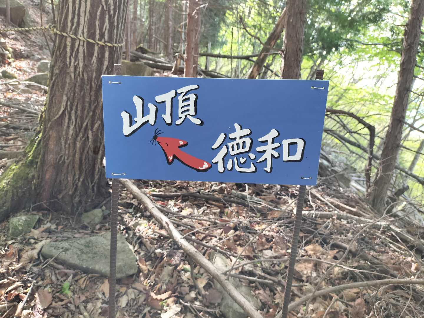 矢印が実はキツネ。