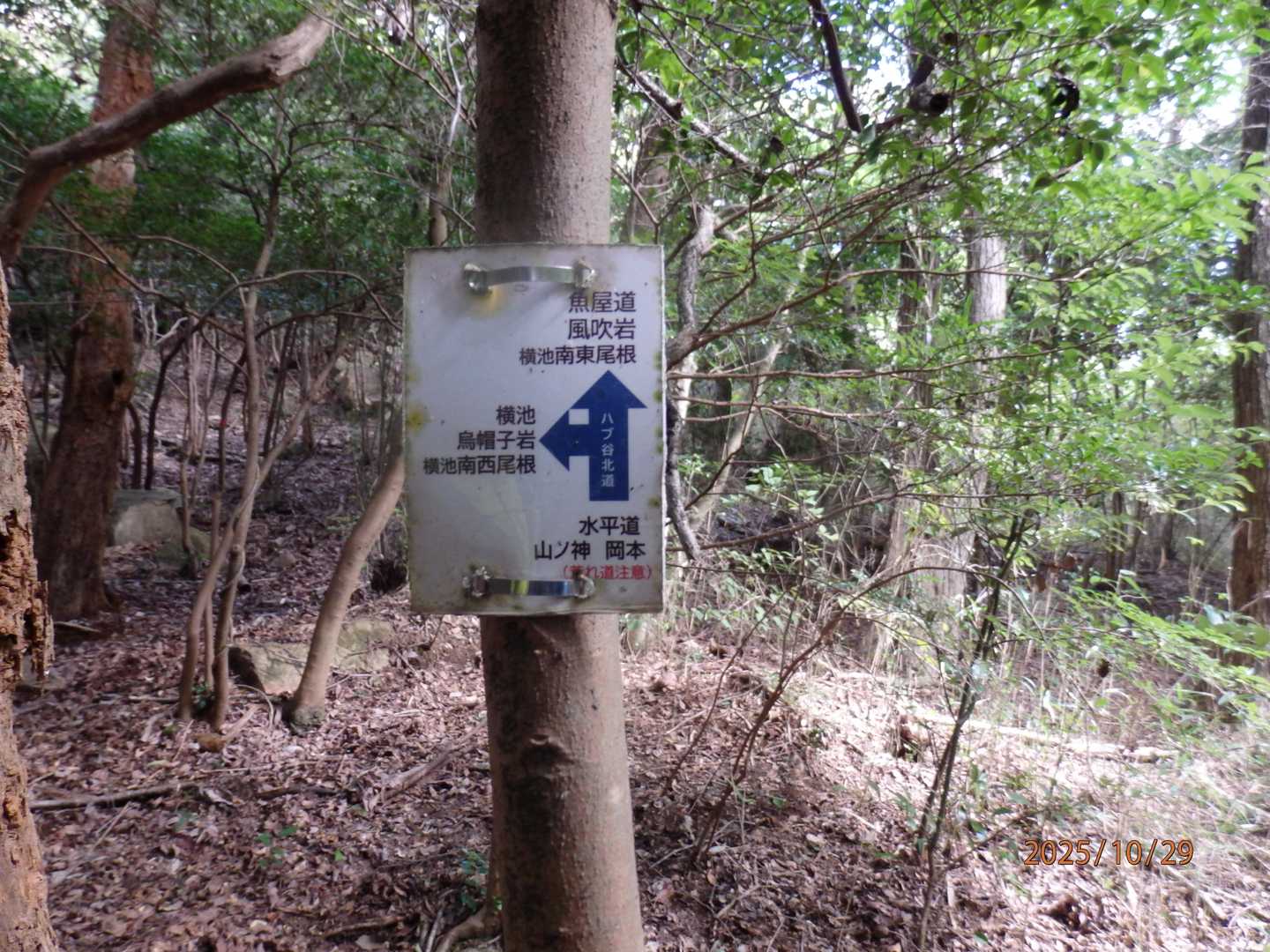 烏帽子岩から真っ直ぐに降ります。こんな表示があった。