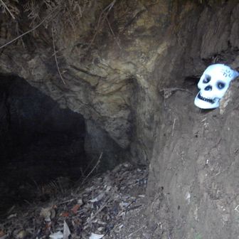 にらまれてます。