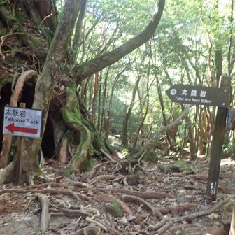 太鼓岩に寄りました