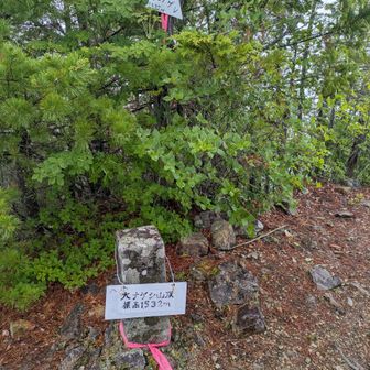 大ナゲシの三角点(1,532m)