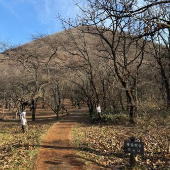 清々しい朝☀️！
スタート！