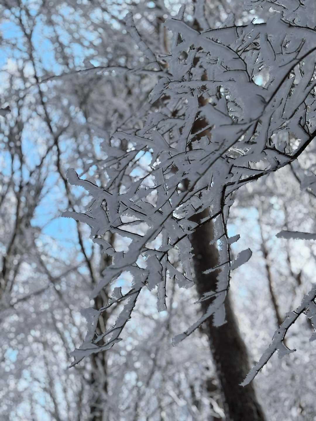 はじめまして❄️

これ見たかった❄️❄️