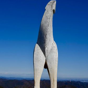 今日もいいねぇ。