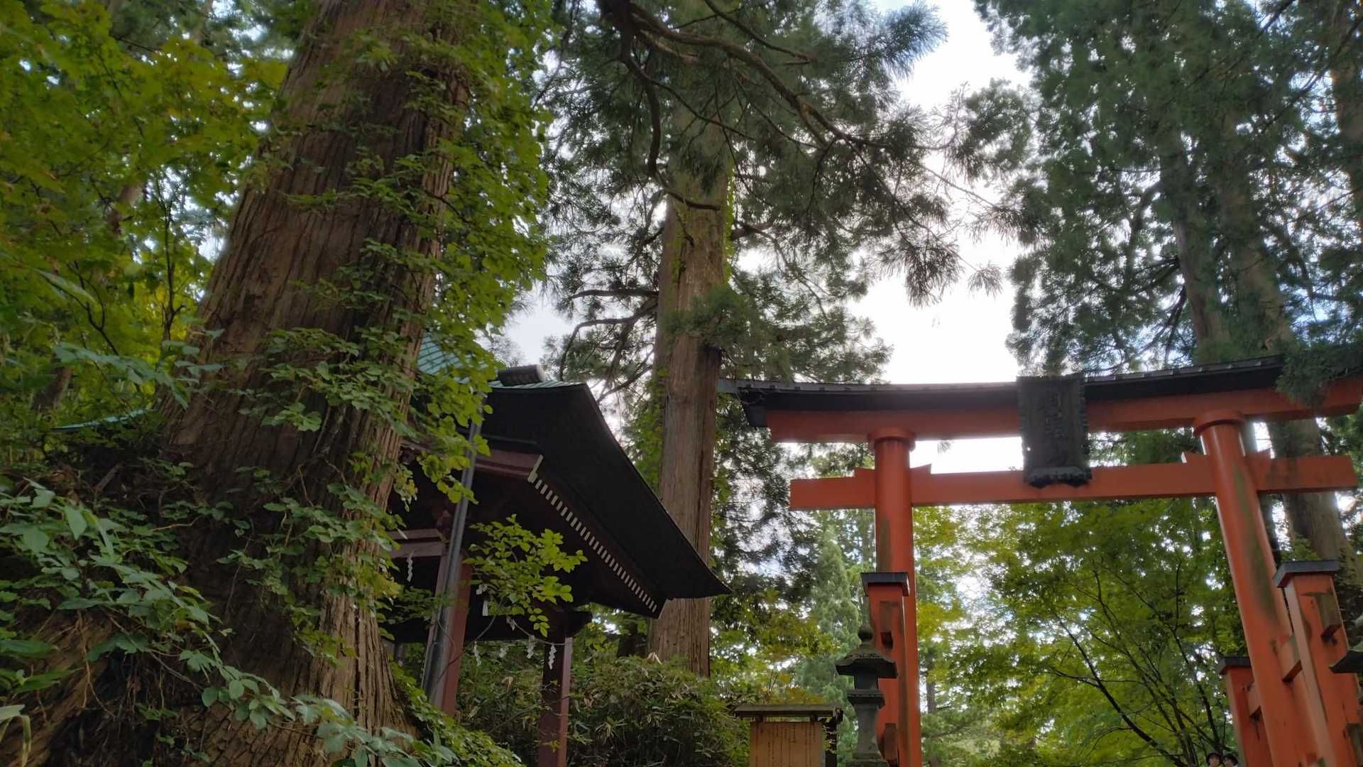 本殿前の鳥居が見えてきた
テンション⏫️