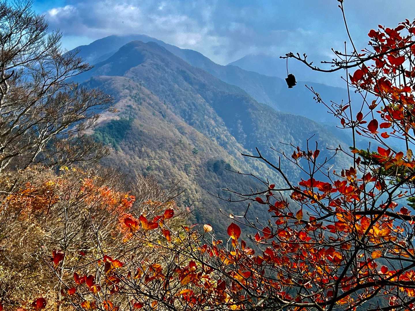 大石峠-大石峰山-金堀山-節刀ヶ岳 往復コースの写真