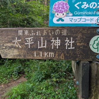 下山中にたくさんのハイカーとすれ違う。
人気がある山なんですね。