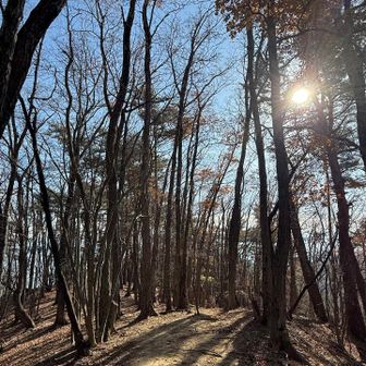 さぁ、眺望良い場所へ