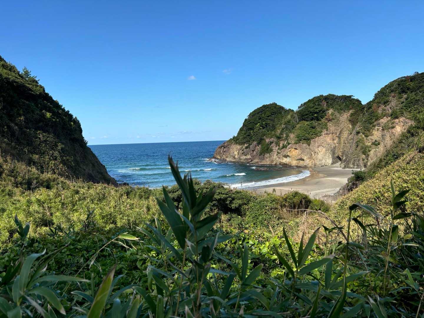大崎城登山道入口-城山 往復コースの写真