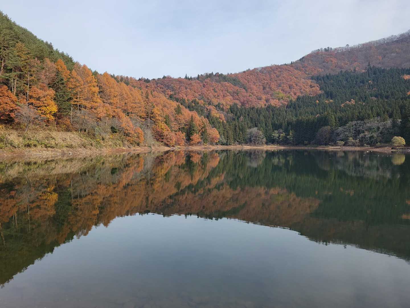 小菅神社-小菅山 周回コースの写真