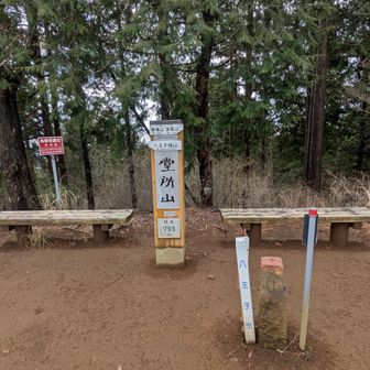 ルートは外れるけどピークとりに行きました