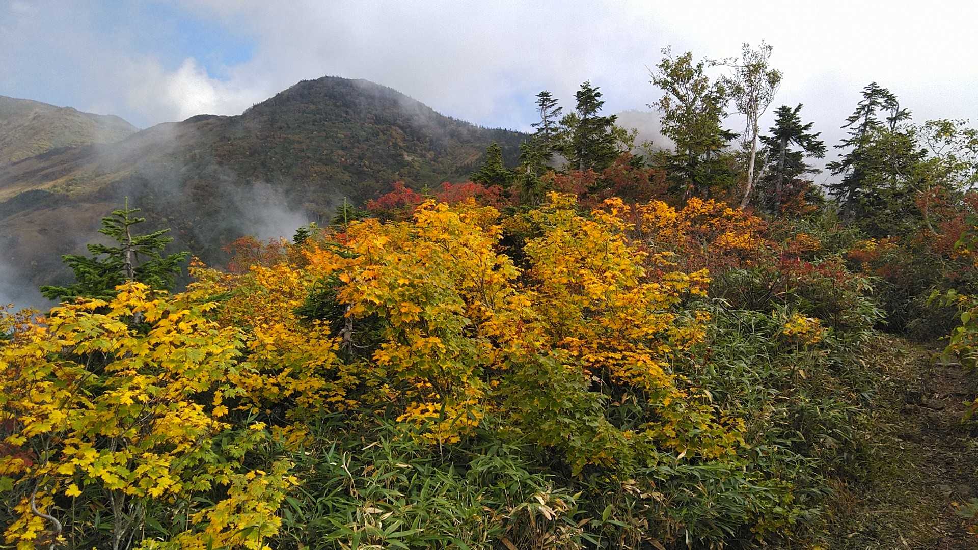 紅葉