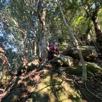 いつのまにか、尾根コースへ、残念。