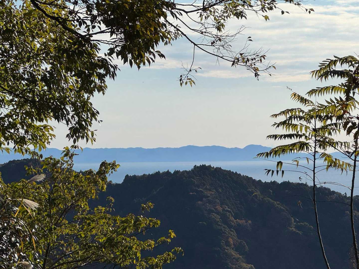 花沢山-日本坂峠-満観峰-鞍掛峠-大ベラ山-高草山 周回コースの写真