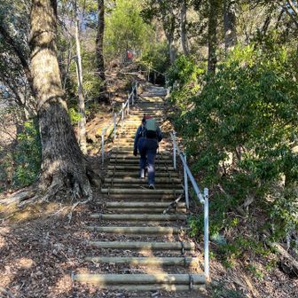 スリカンバノ頭の直下は急な階段があります💦

でもこれまで歩いてきた道のりを考えれば、どんなに急でも階段が設置されていれば登りやすいですね😊