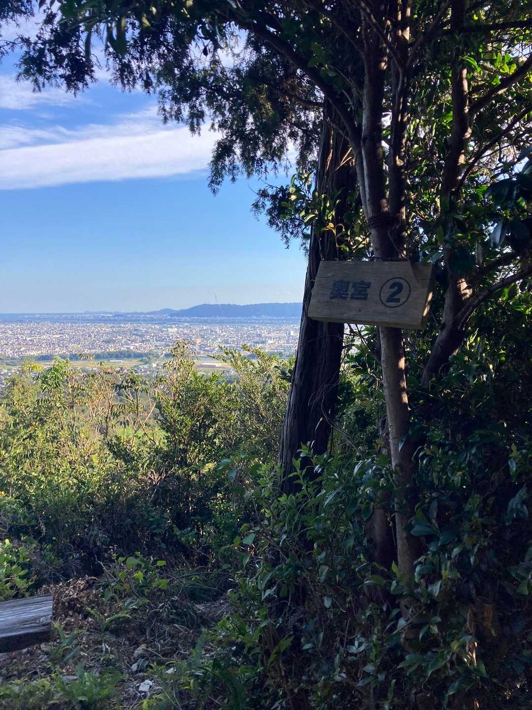 高尾山 往復コースの写真