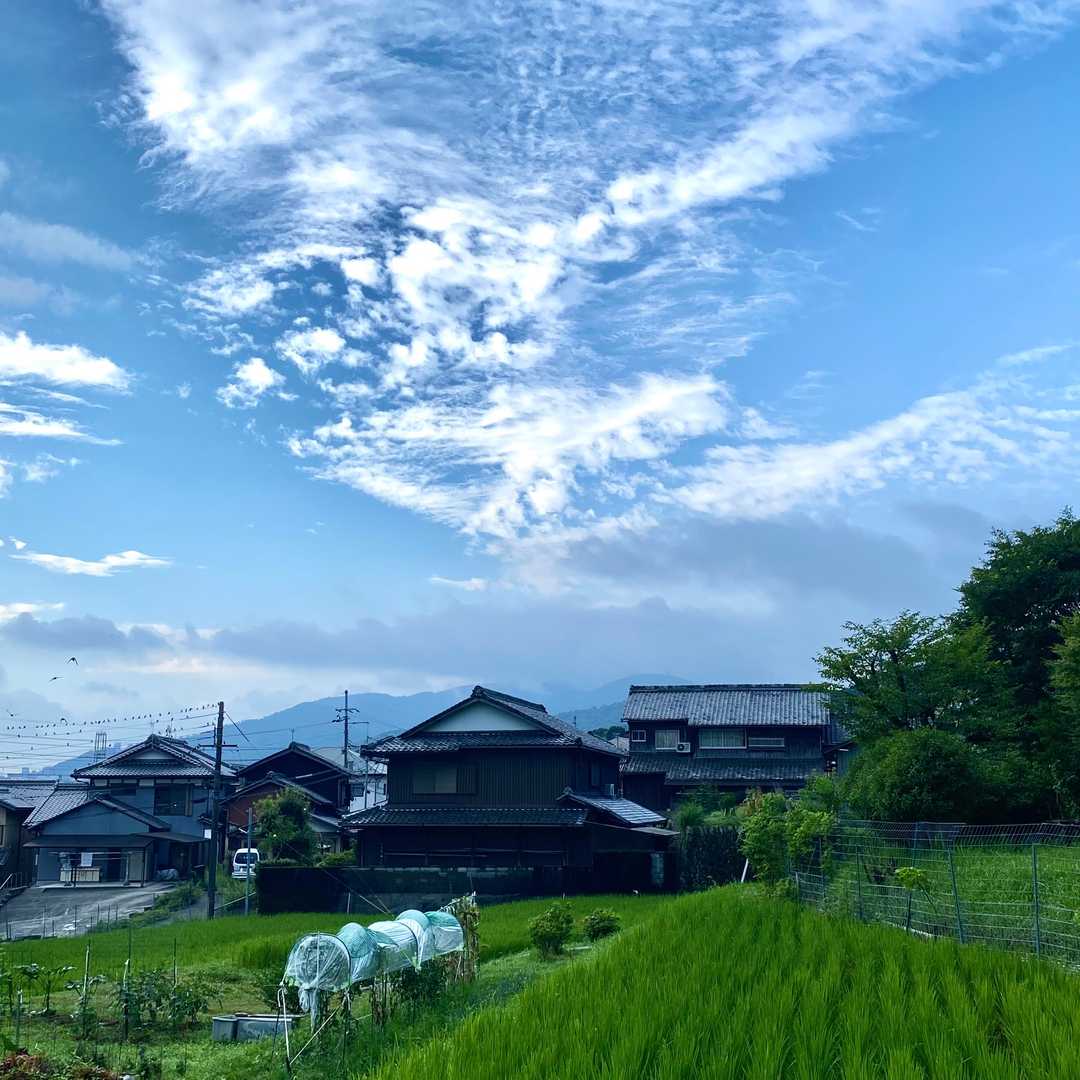 大津京駅-長等山-小関越-逢坂山-上栄町駅 縦走コースの写真