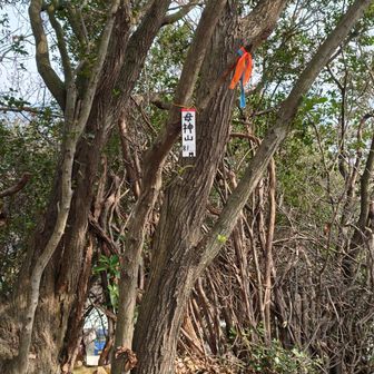 でもホントの山頂⛰️はも少し奥みたいでした