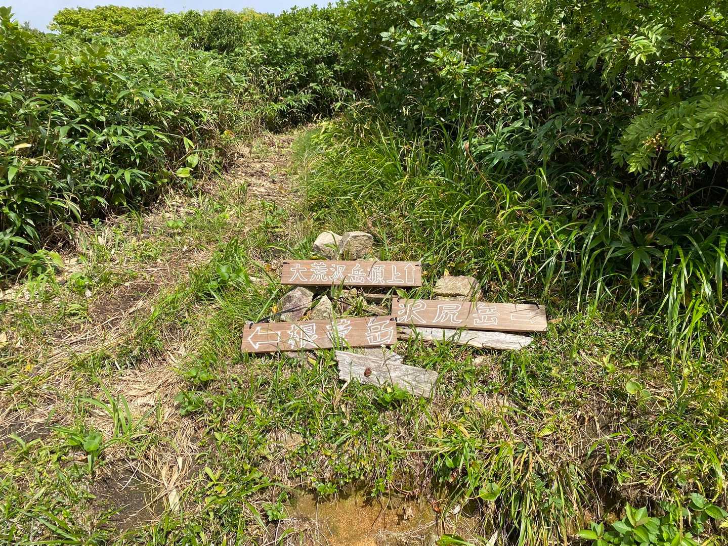 高畑登山口-高下岳-高下岳-根菅岳-大荒沢岳-沢尻岳-旧貝 縦走コースの写真