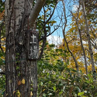 林道を登って行くと「土場」と合流します。
＊かつて林業の伐採作業で切り出された木材（丸太）を集め、積み上げておく「貯木場・木場（きば）」