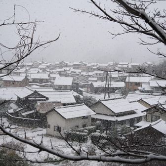 古浦の町も真っ白