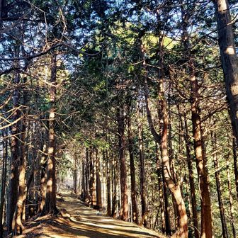 朝の空気っていいな☀️