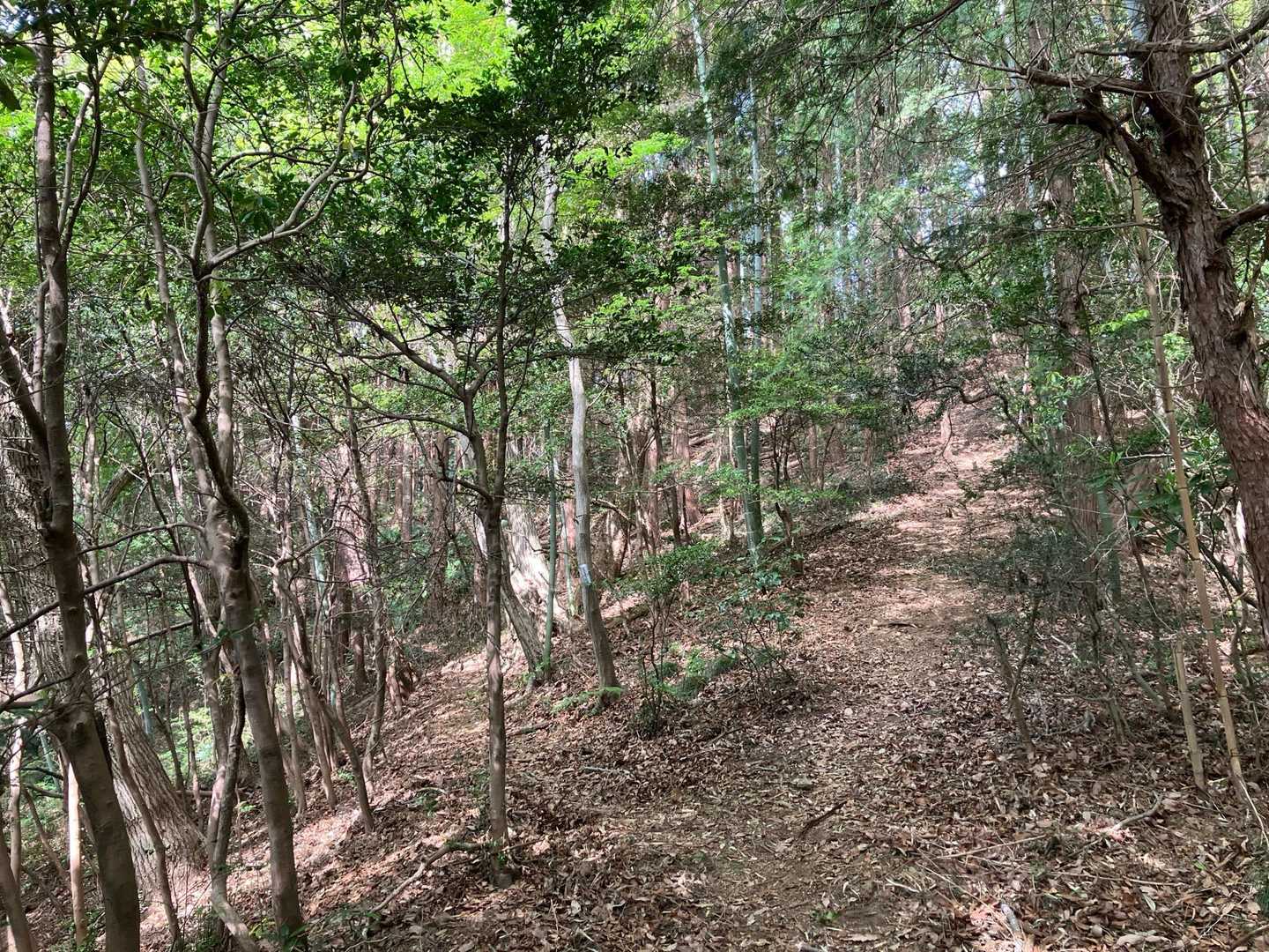 二ッ塚峠-馬引沢峠-赤ぼっこ 往復コースの写真