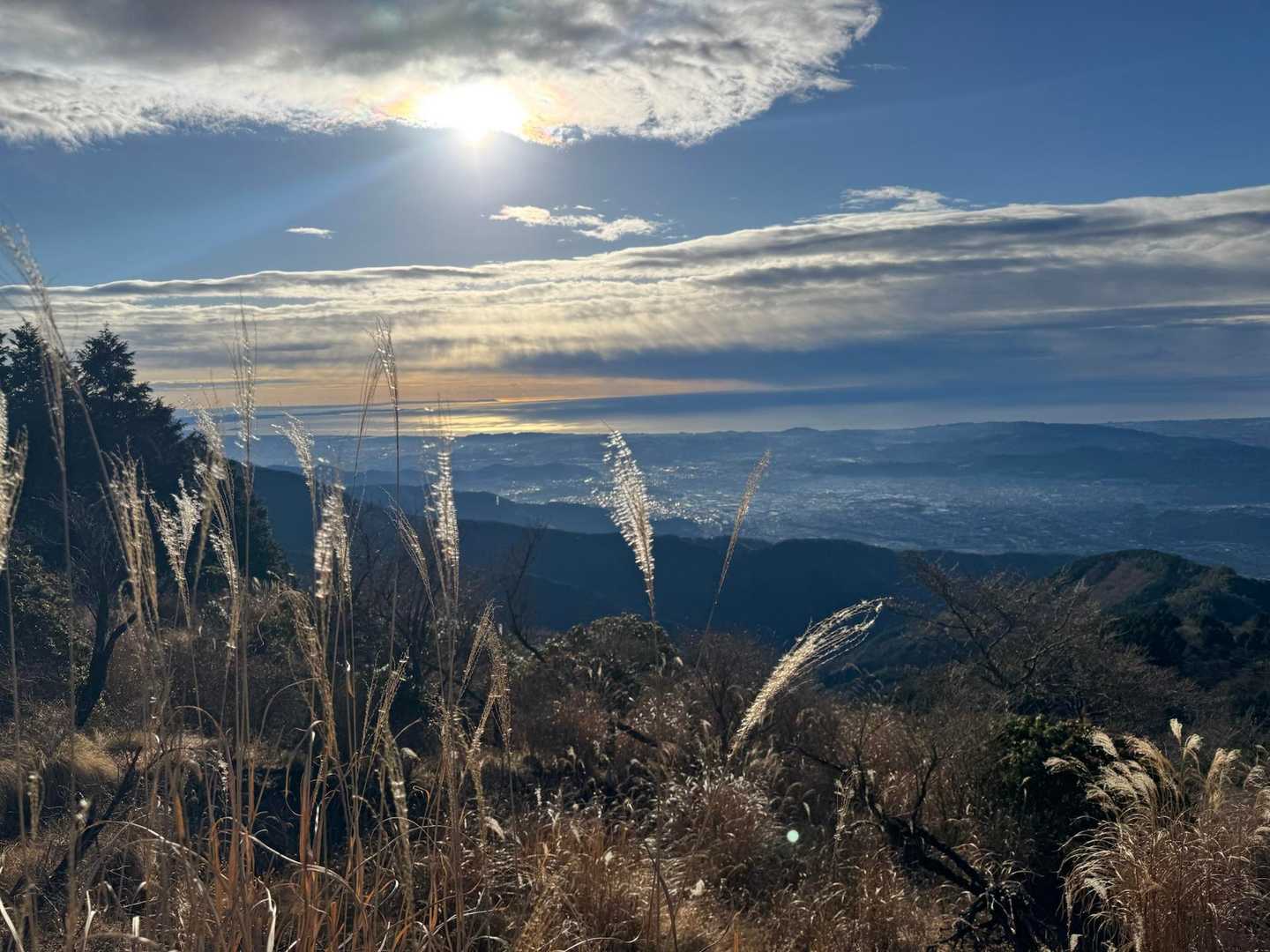 戸沢の出合登山口-塔ノ岳-日高-竜ヶ馬場-丹沢山 往復コースの写真