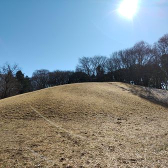 こちらが "くじら山" です。
都立武蔵野公園の小金井市側にあります。