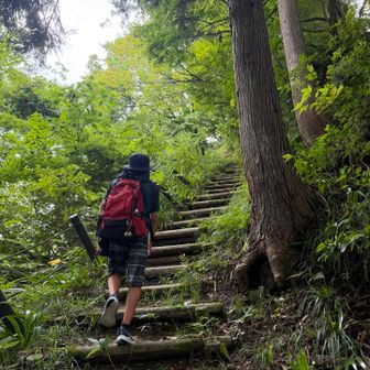 こんなに階段長かった？

200m弱の登りとはいえ結構脚に効く🤣💦