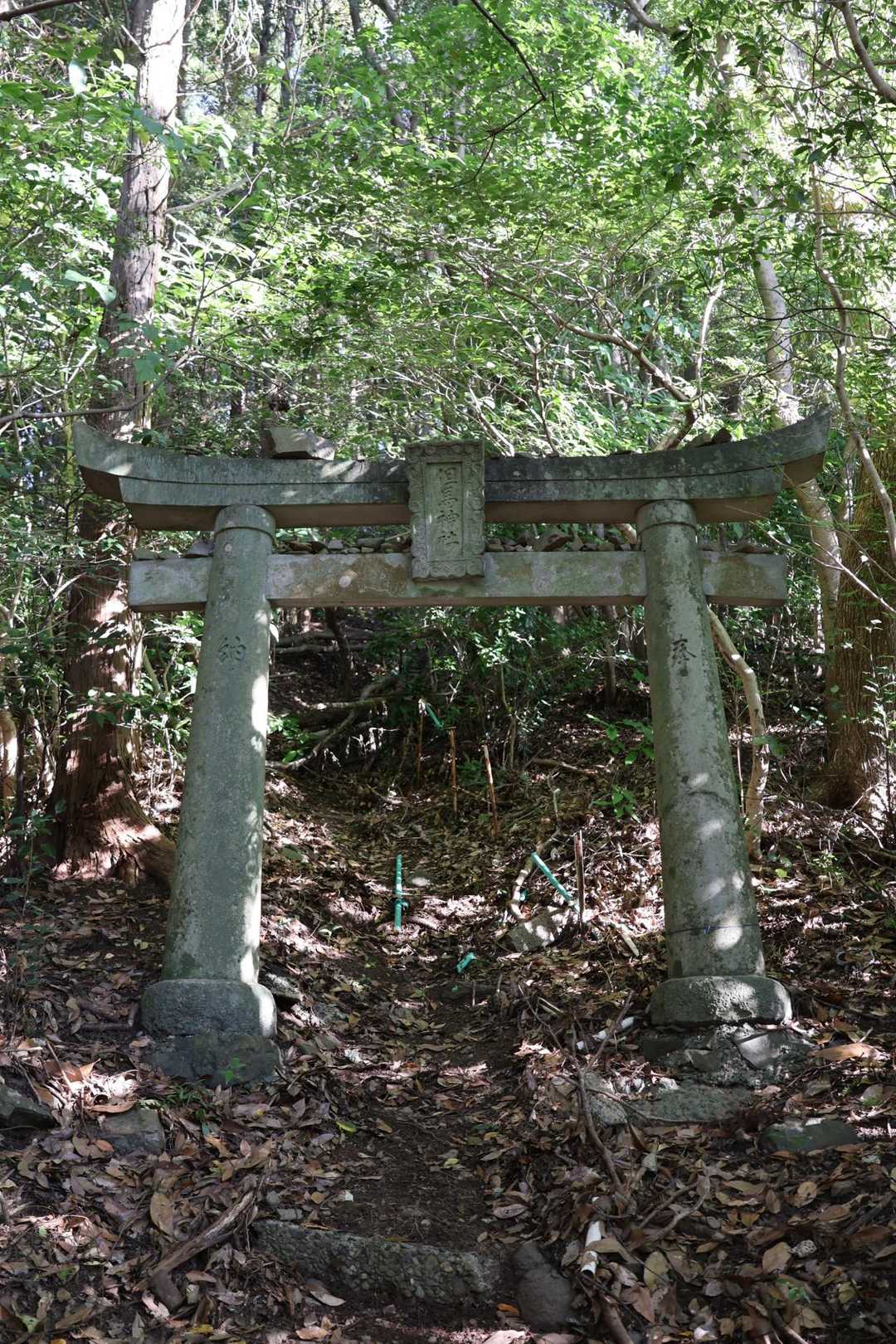 神社⛩に寄り道　短い急登