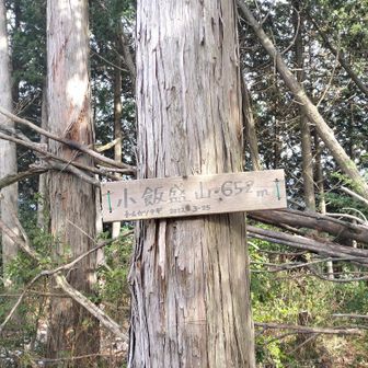 小飯盛山山頂。