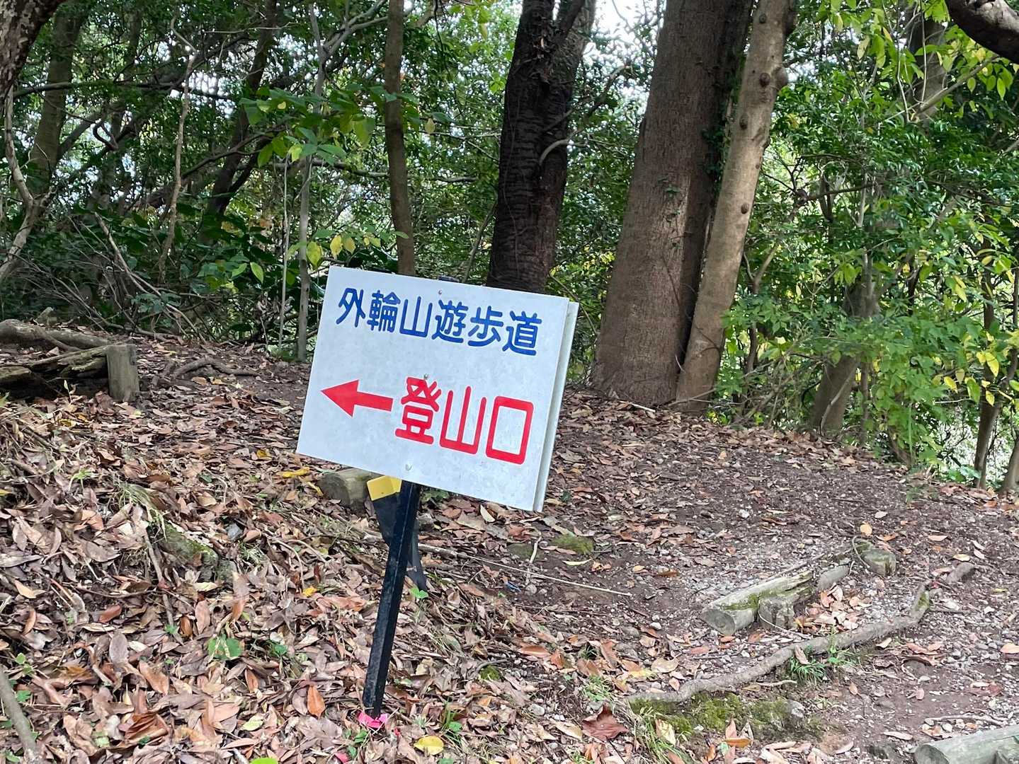 さて、山の中へ。