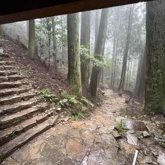 まだ雨