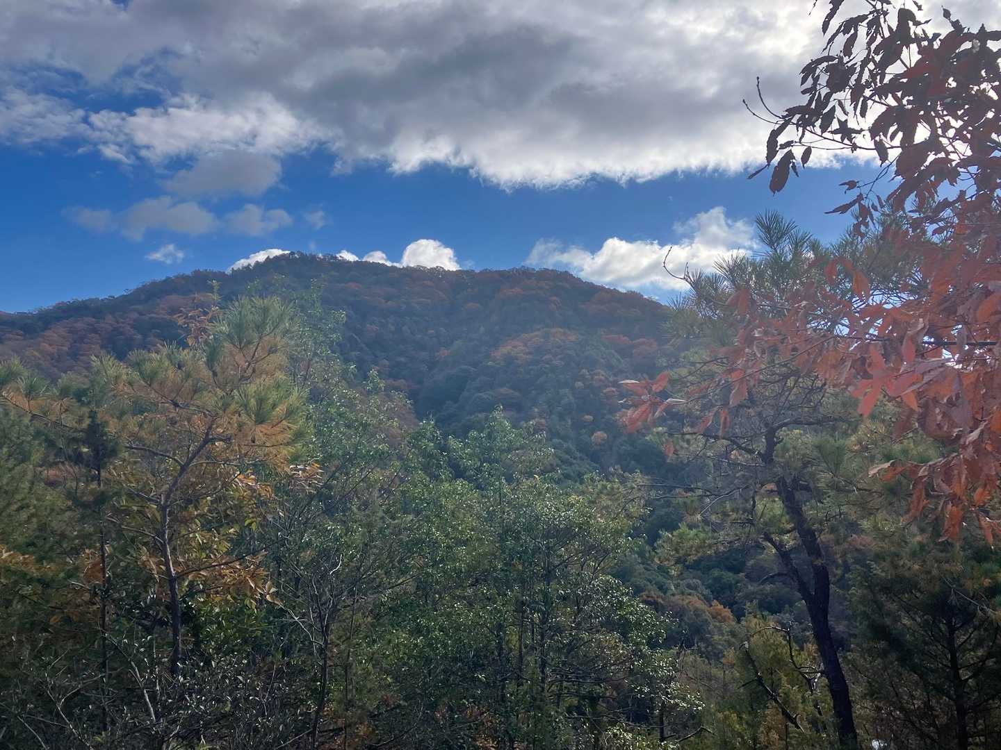 日浦山　これから⤴️
