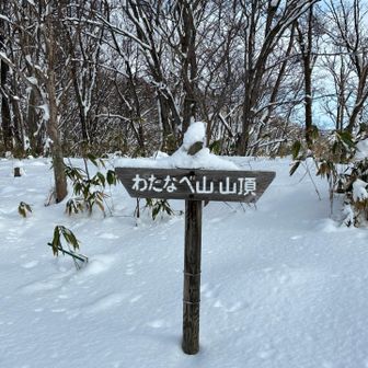 わたなべ山　ひらがなだったね　
