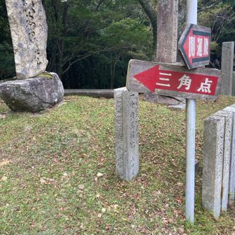 やっと見つけた〜
