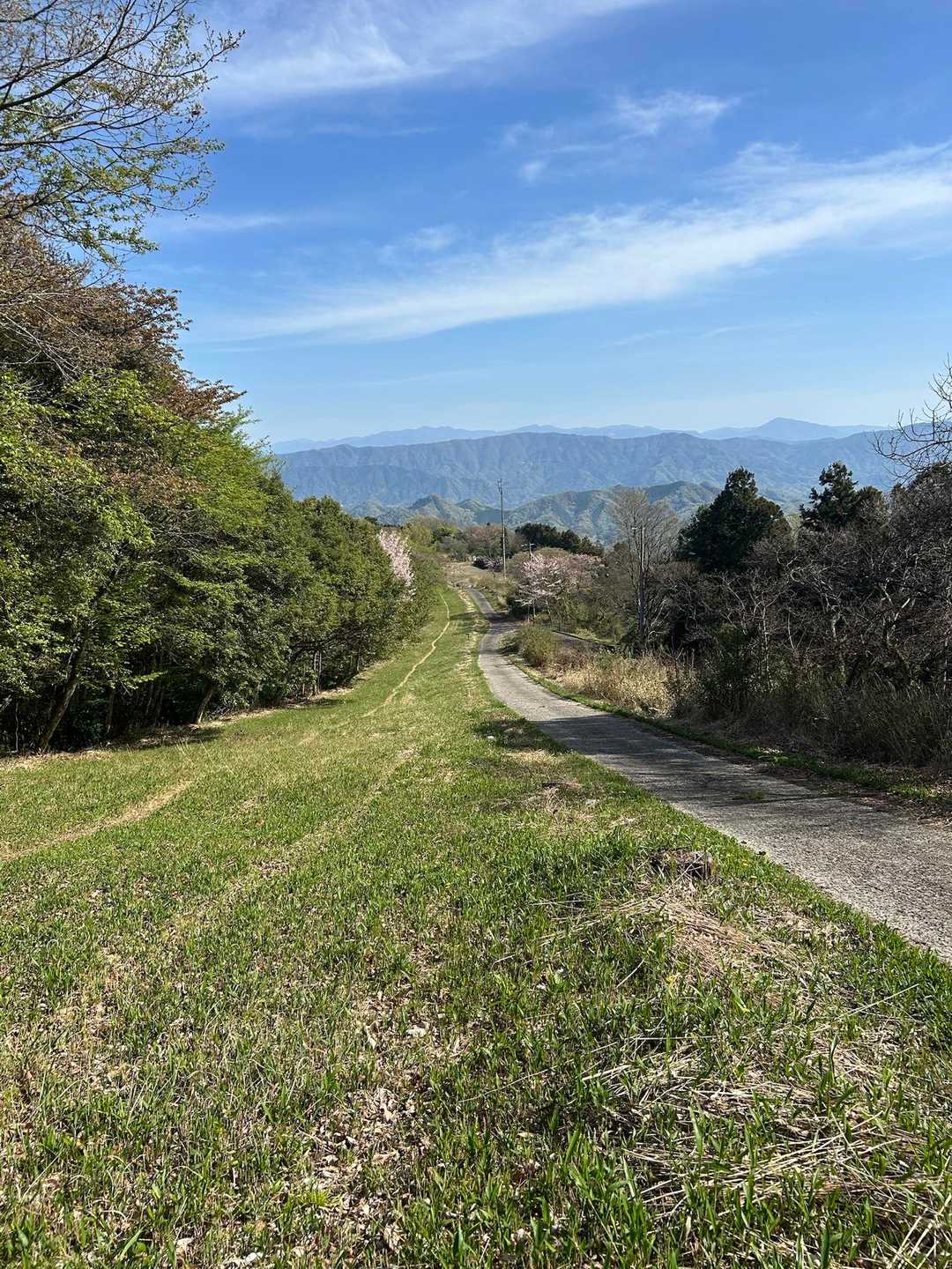 大麻山 往復コースの写真