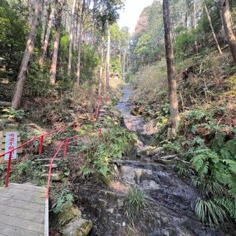 見上げる👀

ここは見たことがあるような🫡