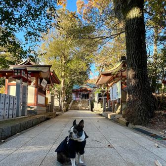越木岩神社