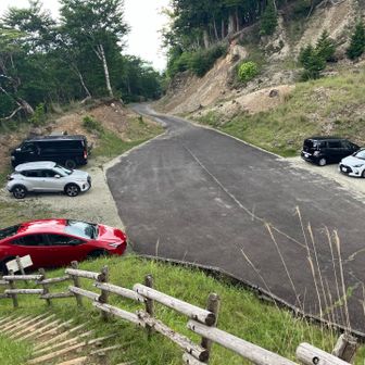 駐車場手前で大粒の雨が降り出しましたが、無事に下山。