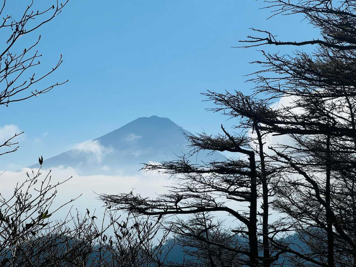 大石峠-大石峰山-金堀山-節刀ヶ岳 往復コースの写真