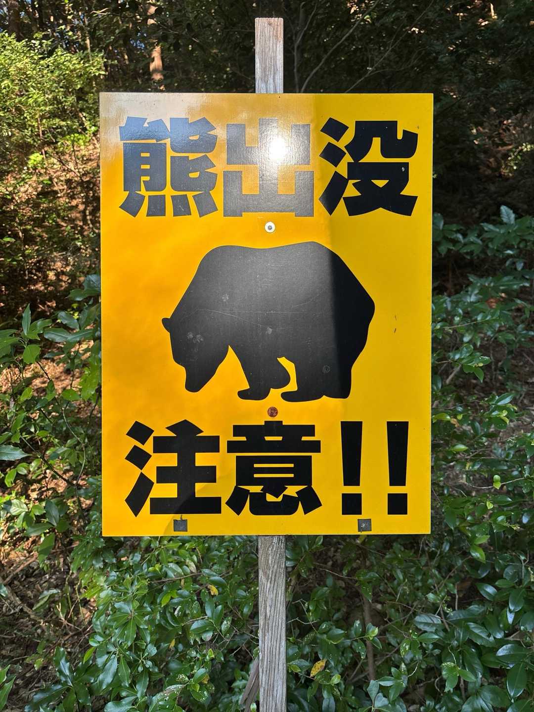 大矢田神社登山口-大矢田神社-天王山-白山 往復コースの写真
