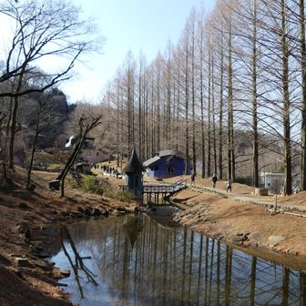 紅葉時期もよさそう