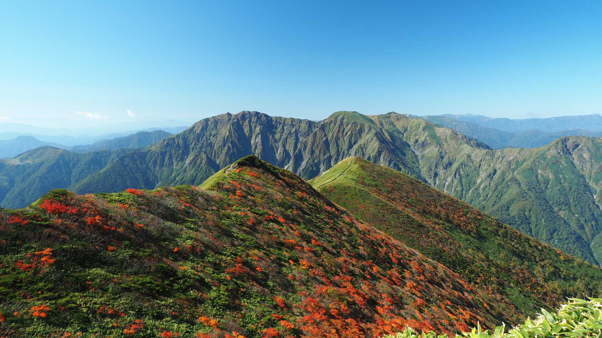 山肌の紅葉が綺麗です