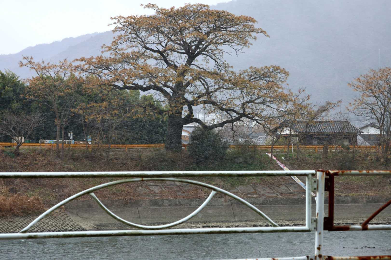 横殴りの雪(見えるかなぁ)
ありがとうございました😊