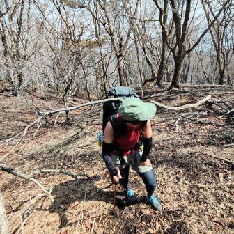 みーちゃんは、いつの間にか枝を背負ってました（マジ）　
それにしては大き過ぎやろ！w