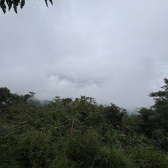 雲に包まれる関東平野。