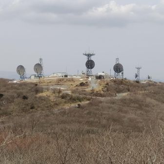 「王様の耳はロバの耳」と叫んでみる。聞いてるかな？