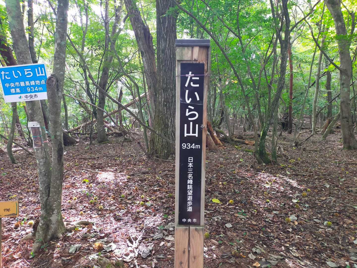 山之神登山口-たいら山 往復コースの写真